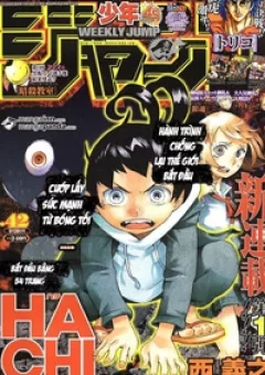 Hachi